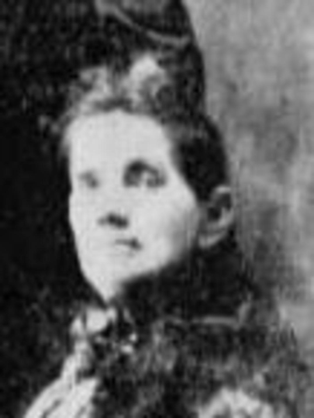 Harriet Lutitia Warthen (1847 - 1904) Profile